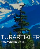 turartikler med trykk av logo